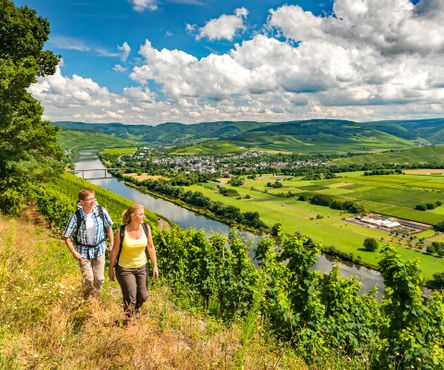 Panoramic hiking trail along the Moselle