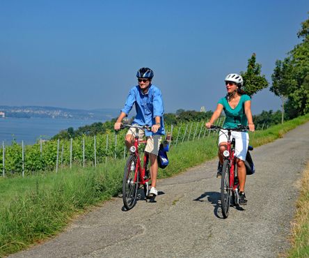 Cyclists at cycle path near Hagenau at Lake Constance