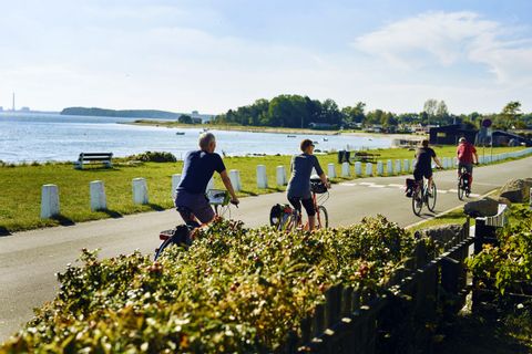 Cyclists on the shore 