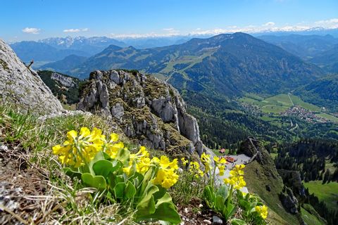 Hiking tour on moutain Wendelstein with mountain view and flowers