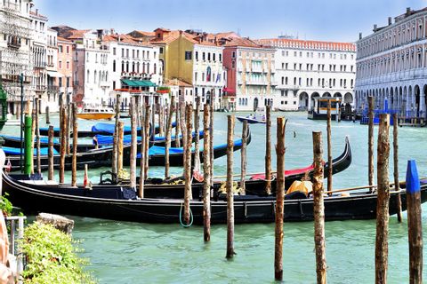 Gondolas on the Canale in Venice