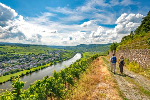 Hiking on beautiful trails along the Moselle
