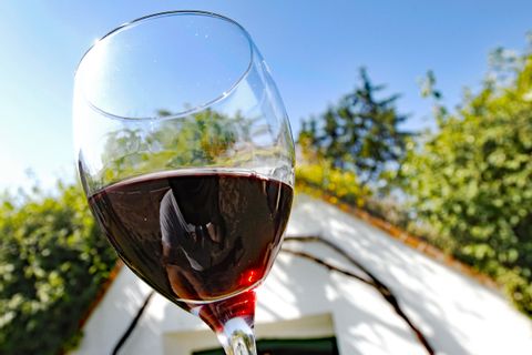 Glass of red wine in front of the blue sky and trees