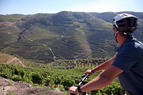 Douro-Chaves-Portugal-wijnvelden-wijnboeren
