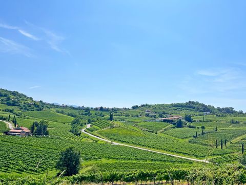 eb-fietsen-friuli-italie-wijnvelden