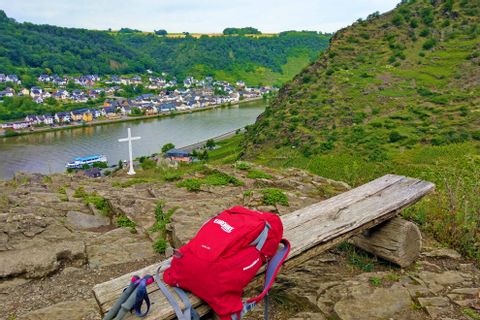 View of the Moselle from a resting bench above 