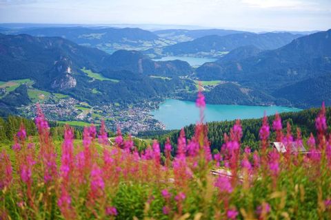 eh-Salzkammergut-Oostenrijk-uitzicht-FB_IMG_1691308492068
