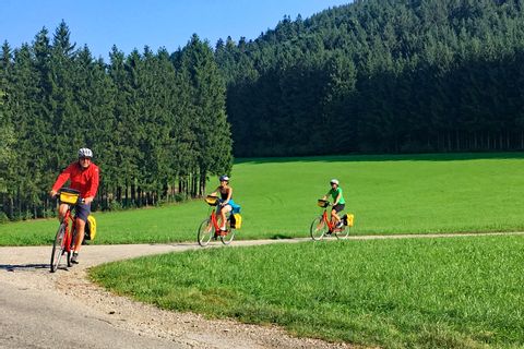 Cyclists in the nature