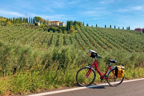 Bike in front of Tuscan vineyards
