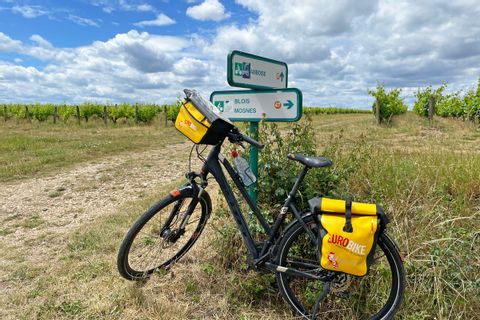 Loire Cycle Route Crossing