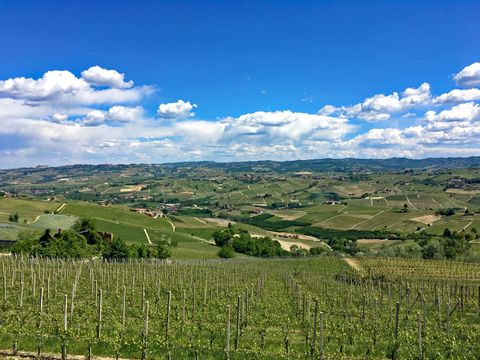 eb-piemonte-genieters-wijnvelden-uitzicht