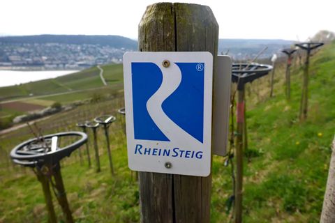 Rheinsteig-wandelwijzer-rijn-duitsland