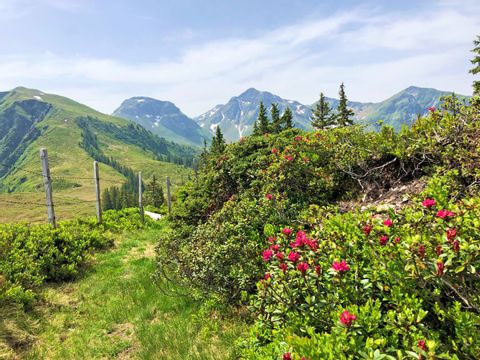 eh-pinzgau-panoramawandelen-saalalm-bloemen