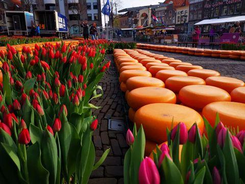 Kaasmarkt-Alkmaar-Nederland