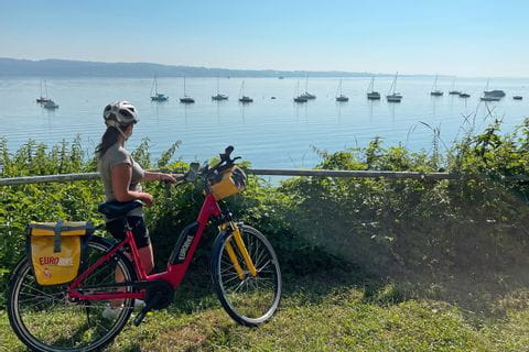 Cyclist looks out over Lake Constance