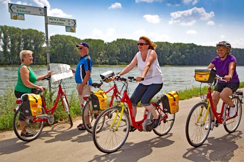 Cycle path along the river rhine towards Speyer