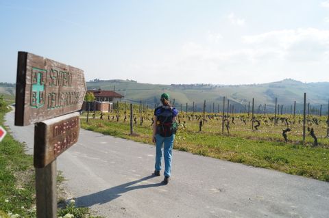 World-famous wine village Barolo
