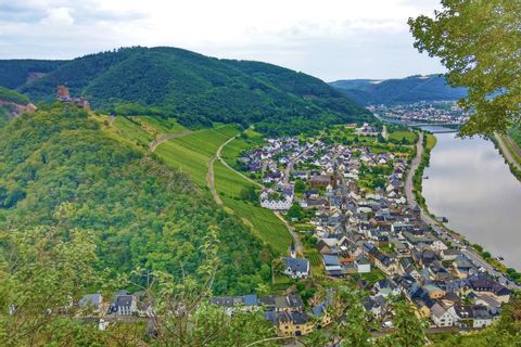 Great view of the Moselle and Thurant Castle