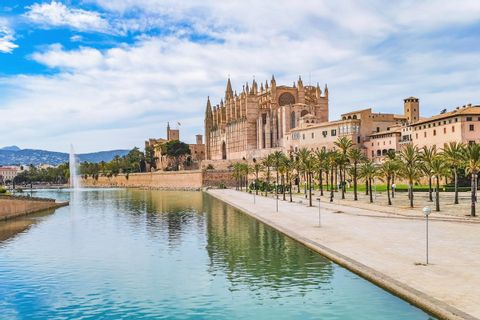 View of the cathedral in Palma 