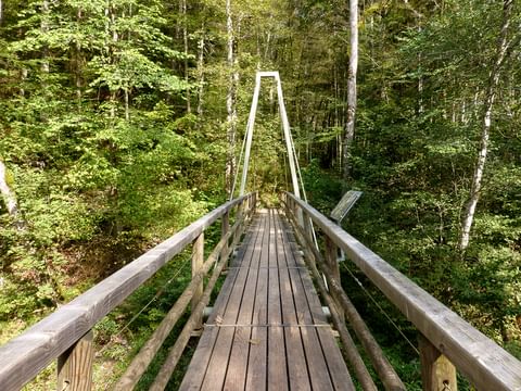 zwarte-woud-wandelbrug-duitsland