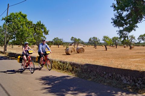 Cyclists in front of field