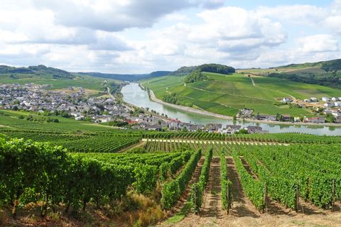 View of Nittel on the Moselle from the Weinberg mountains
