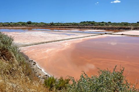 Salt pool next to the hiking trail in the Algarve