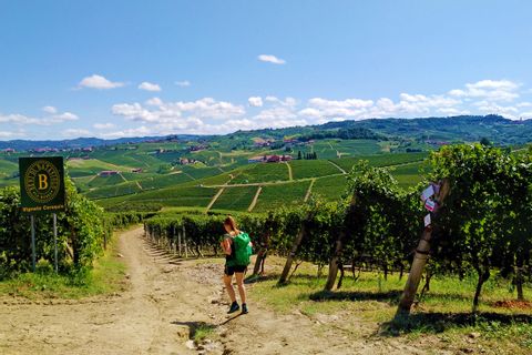 Hiking trails through vineyards