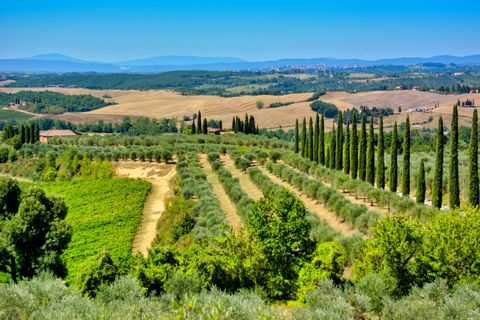 Toscane-landschap-italie-cypressen