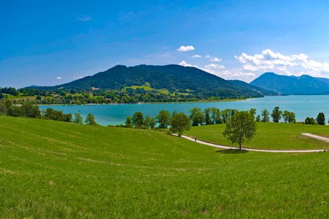 Fantastic panorama with lake view