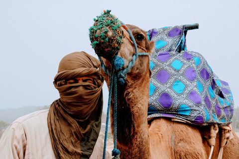 Berber-marokko-kameel-Sahara-woestijn