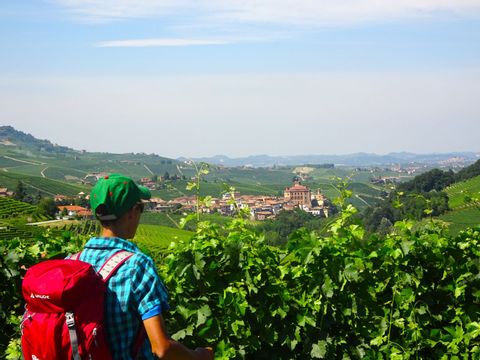Piemonte-Ligurie-Barolo-wandelaar