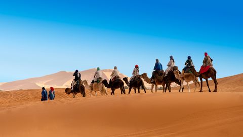 Marokko-Atlas-Gebergte-desert-Kamelen