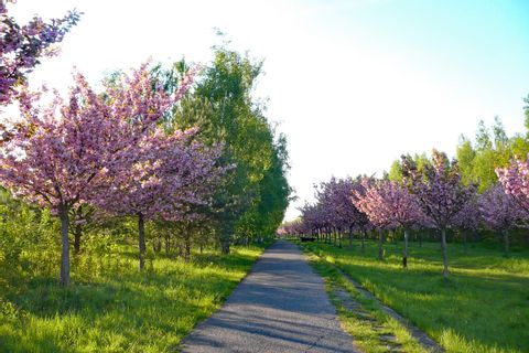 cycle path in spring