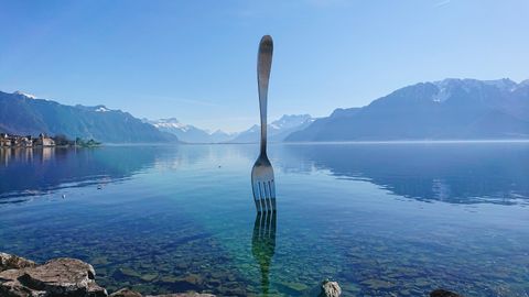 vork, meer van Vevey, zwitserland, rhone