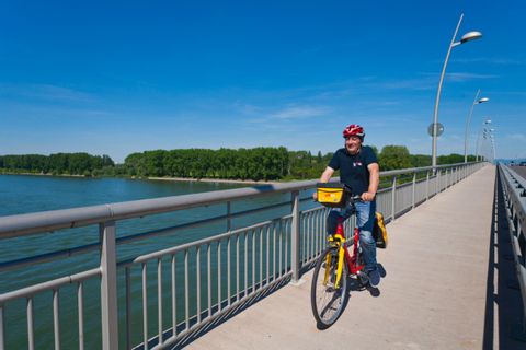 Cyclist on the Rhine Bridge