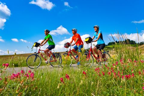Group of cyclists in front of Tuscan flower meadow