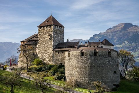 Schloss-Vaduz-Liechtenstein