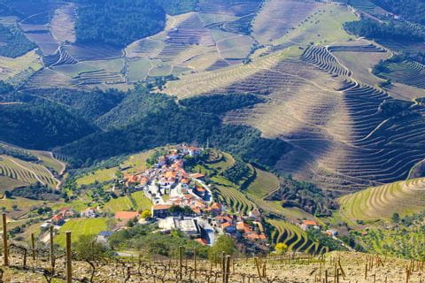 Hiking scenery in the green Douro region