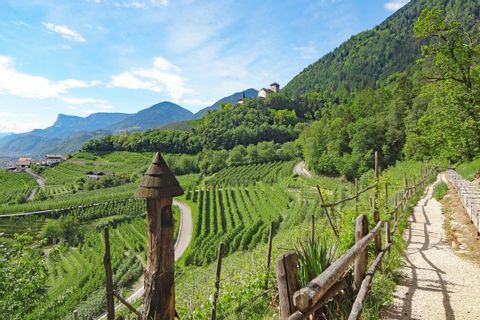 Mountain hiking through green wineyards near Merano