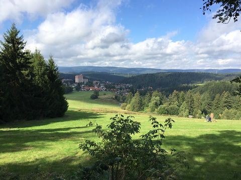 Uitzicht op Altenau