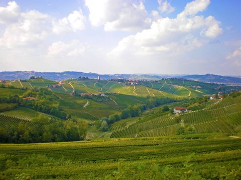 eb-piemonte-genieters-wijnvelden-wijngaarden-uitzicht