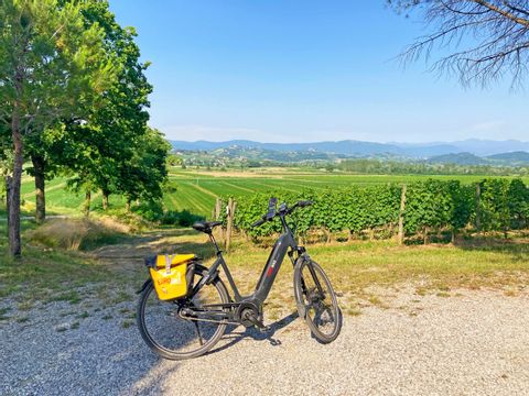 eb-fietsen-friuli-italie-wijnvelden-fiets