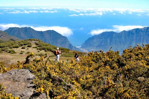 Guided high altitude walking on Madeira island