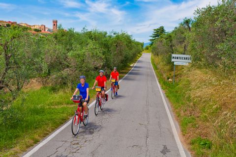 Cyclists on their way to San Gimignano