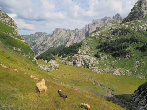 montenegro-grbaja-valley