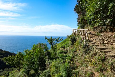 Hiking trail in Cinque Terre