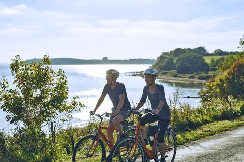 Cyclists on the coast of Denmark