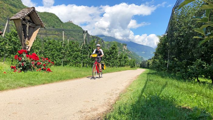 Cycling through the apple groves around Bolzano