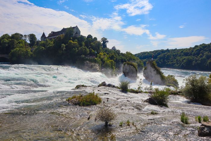 View of the Rhine Falls rock